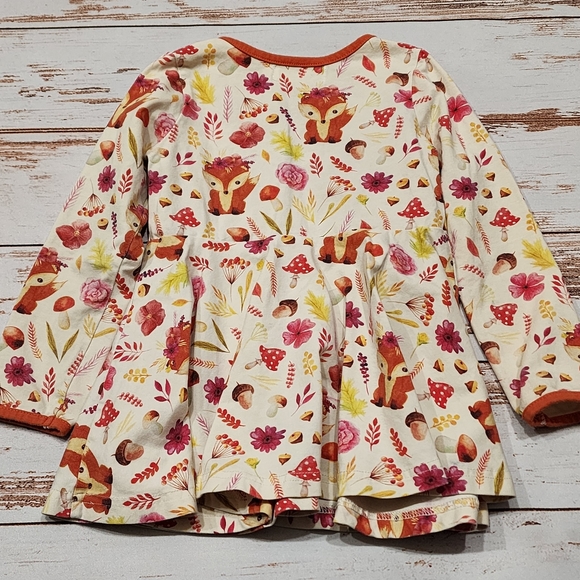 🌺3/$20 Lily & Londyn's dress chipmunk nuts flowers cream orange fall 4T - Picture 4 of 6